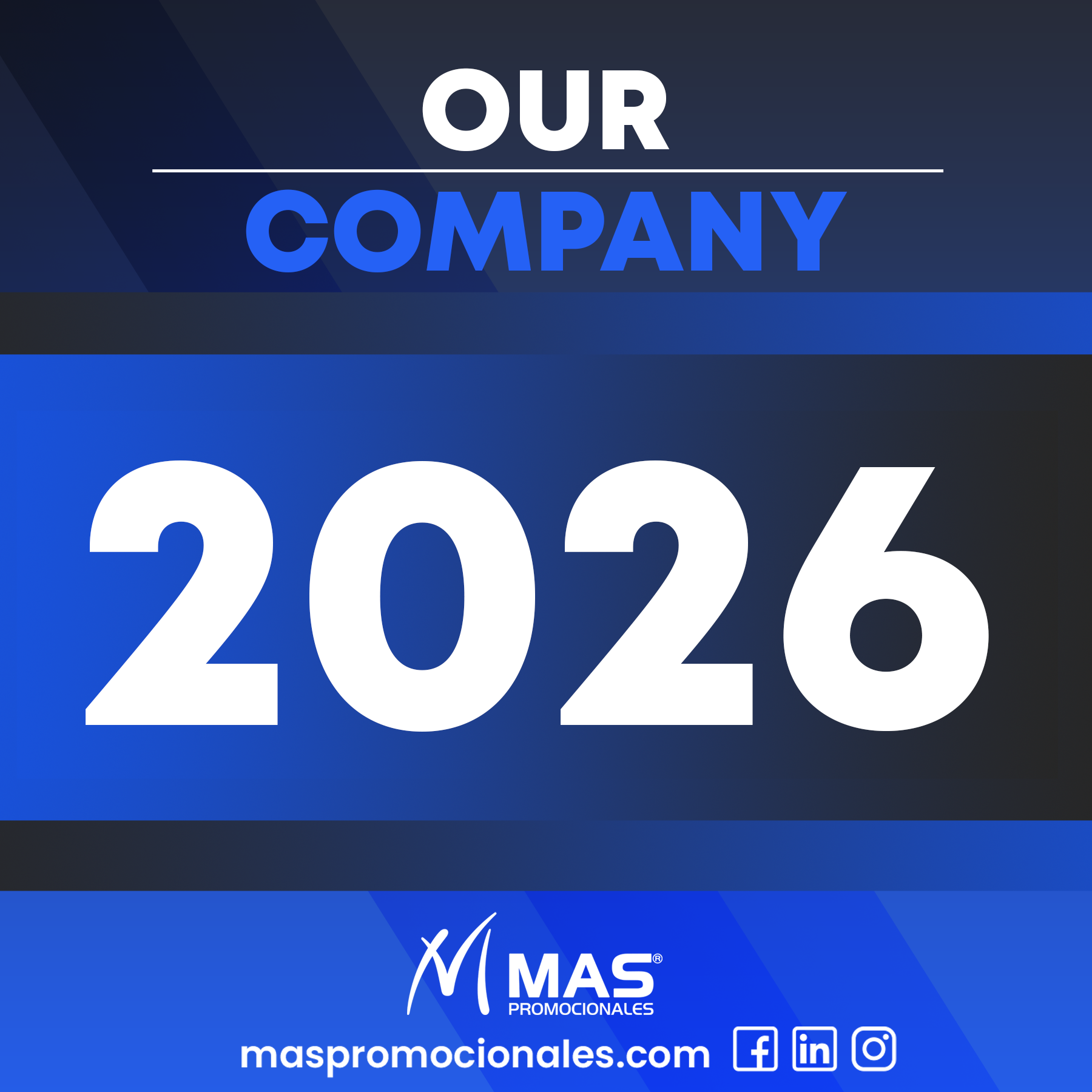 Our Company